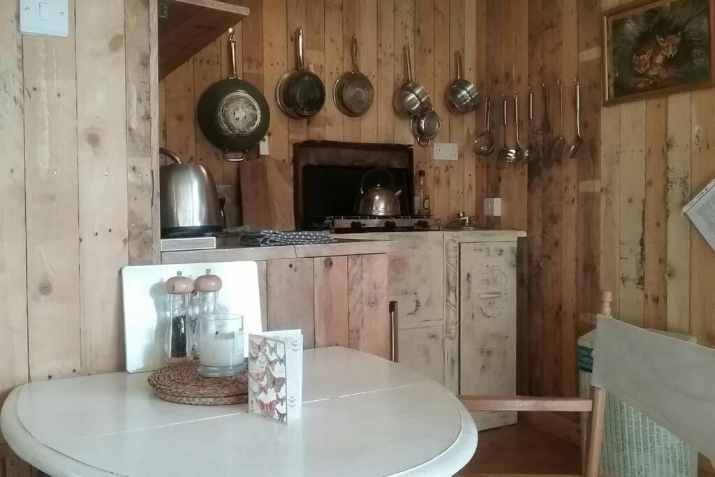 Foxesden, Unique Eco Cabin, Dartmoor Views South Brent Dış mekan fotoğraf