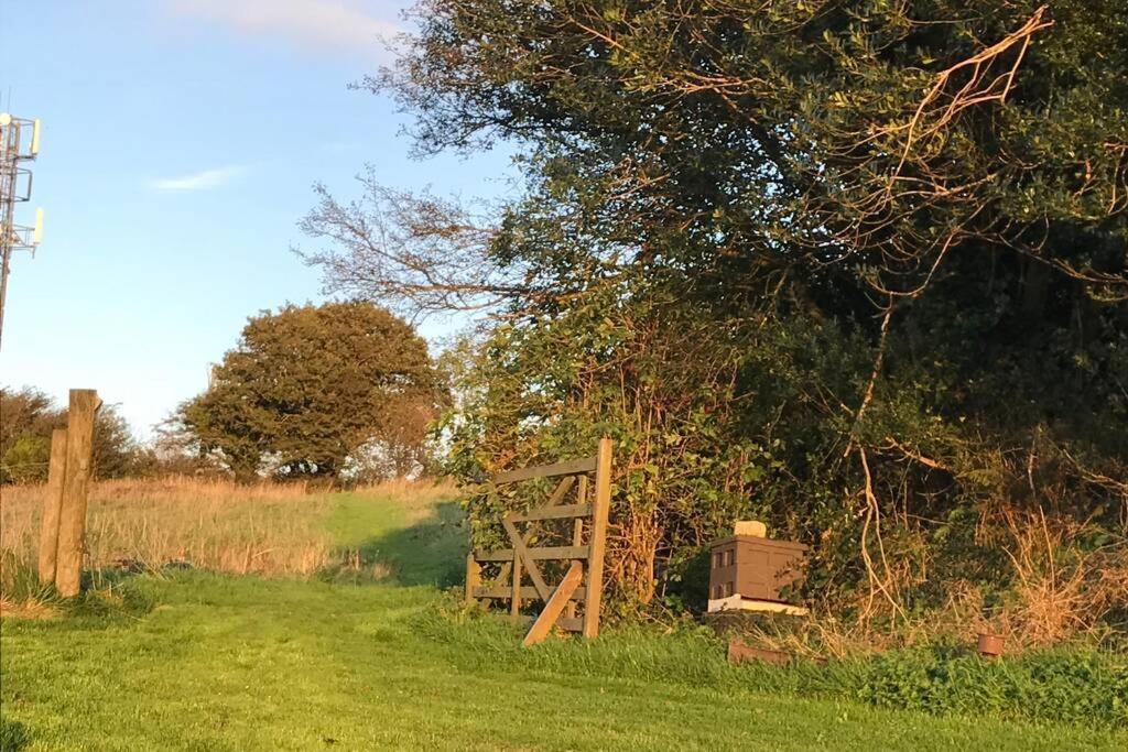 Foxesden, Unique Eco Cabin, Dartmoor Views South Brent Dış mekan fotoğraf