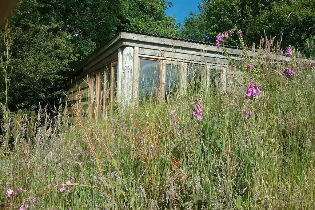 Foxesden, Unique Eco Cabin, Dartmoor Views South Brent Dış mekan fotoğraf