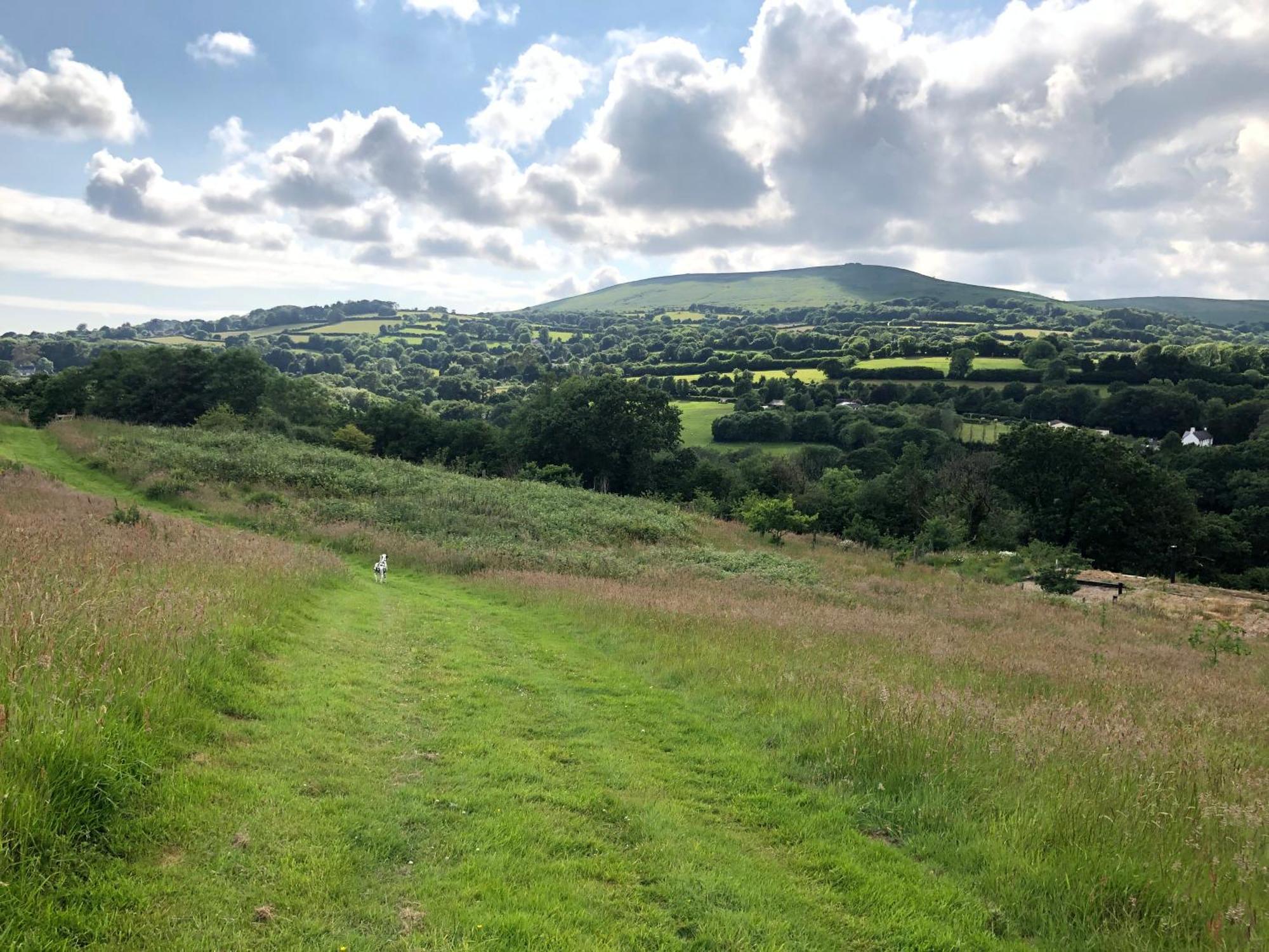 Foxesden, Unique Eco Cabin, Dartmoor Views South Brent Dış mekan fotoğraf