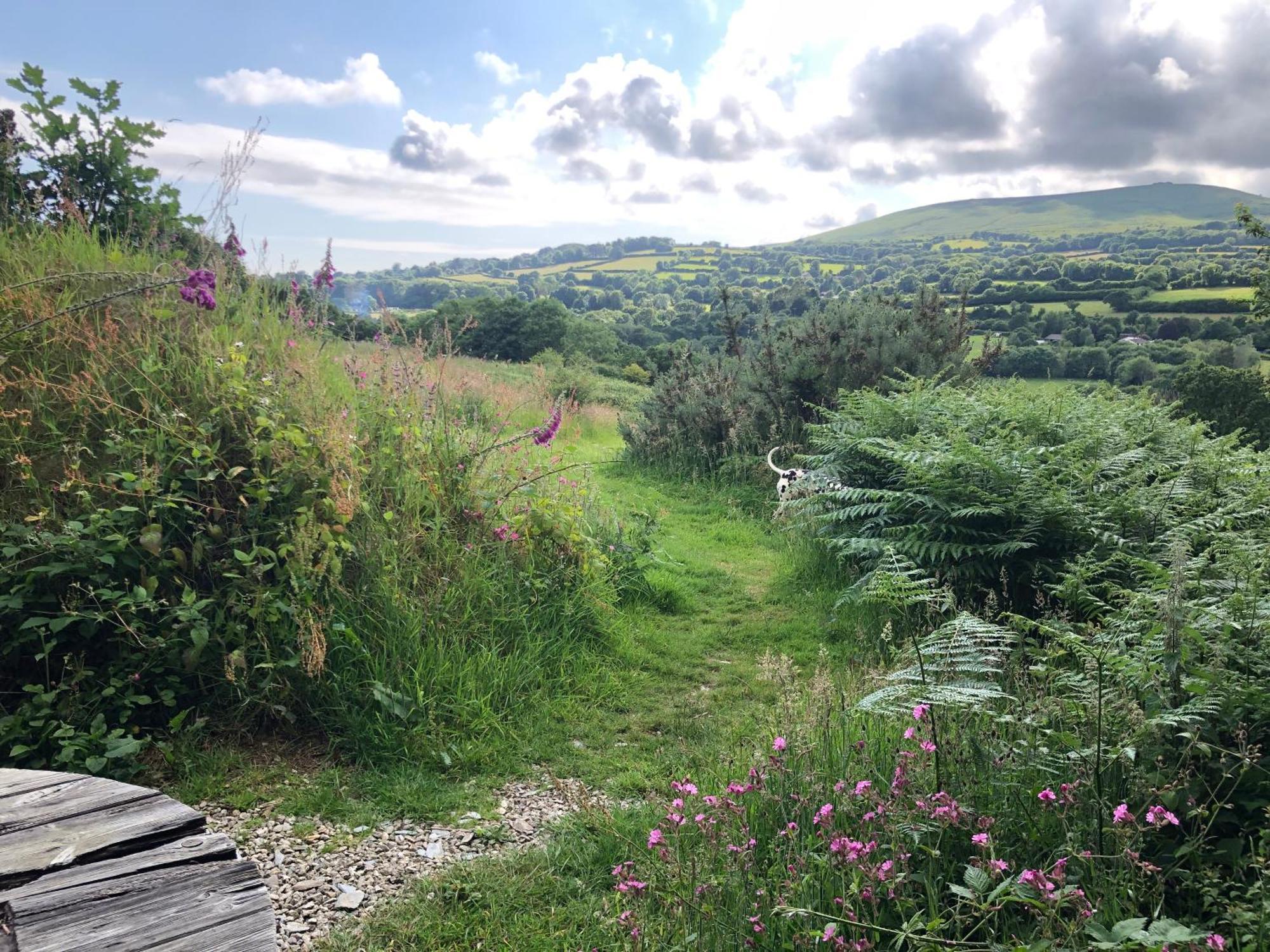 Foxesden, Unique Eco Cabin, Dartmoor Views South Brent Dış mekan fotoğraf